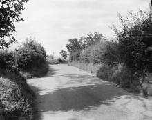 Cherry Tree Lane, North Walsham