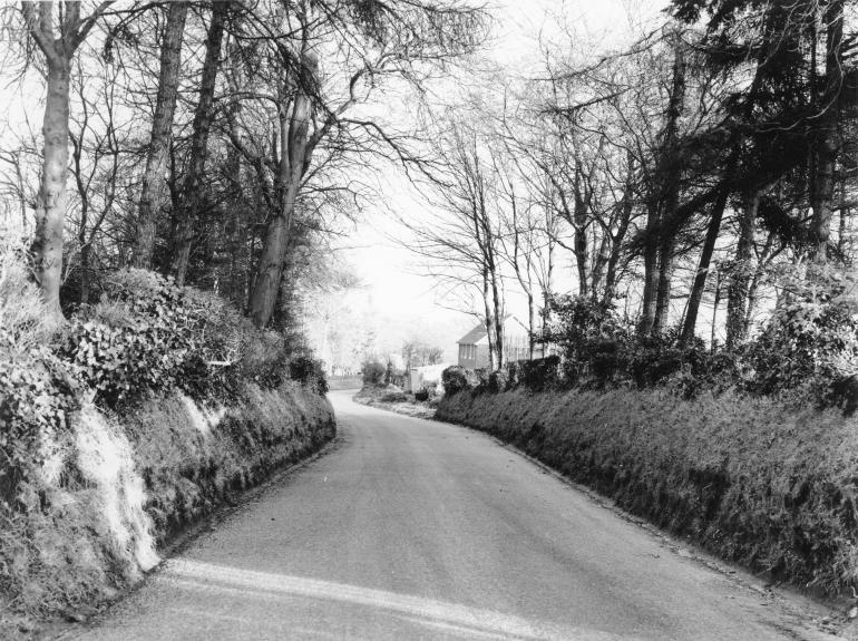 Photograph. Bacton Road, North Walsham (North Walsham Archive).