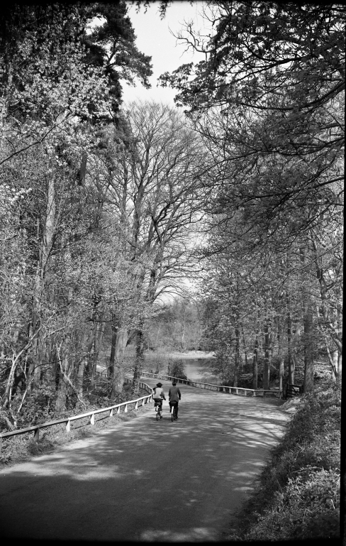 Photograph. Captains Pond, Westwick (North Walsham Archive).