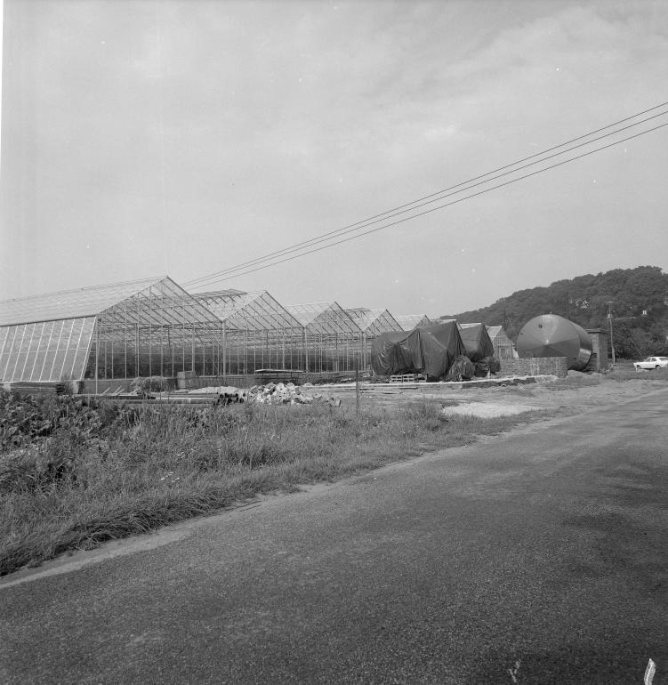 Photograph. Hadfield Garden Centre, Yarmouth Road (North Walsham Archive).