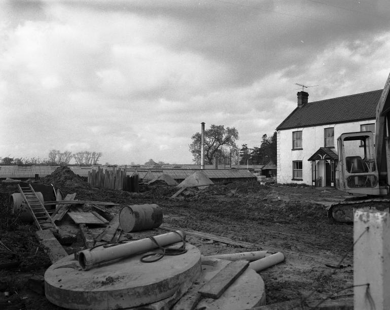 Hadfield Garden Centre (North Walsham Archive) Photograph. Hadfield Garden Centre (North Walsham Archive).