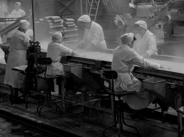 Photograph. HP Smedleys Factory Floor, Norwich Road (North Walsham Archive).