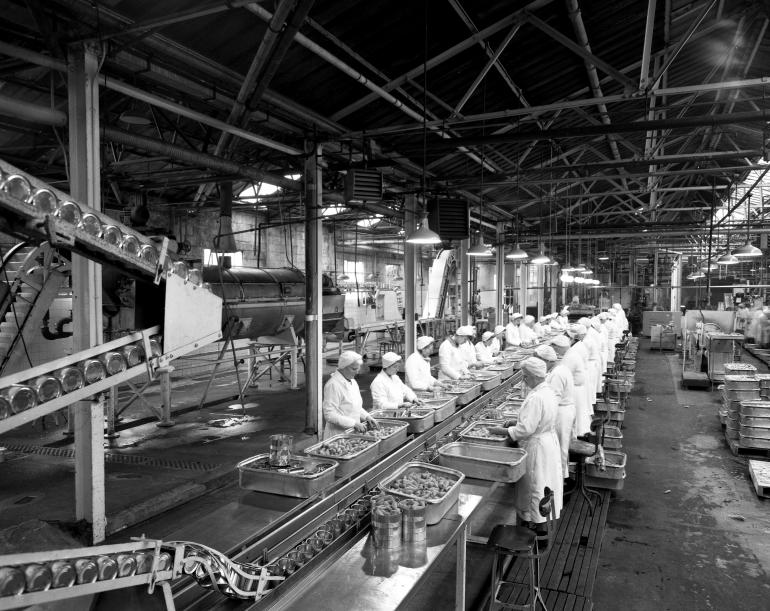 Photograph. HP Smedleys Factory Floor, Norwich Road (North Walsham Archive).