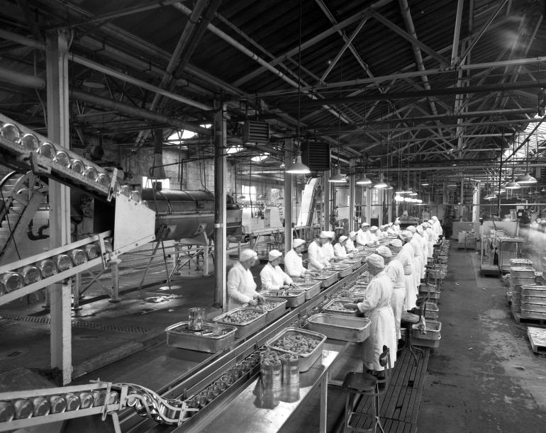 Photograph. HP Smedleys Factory Floor, Norwich Road (North Walsham Archive).