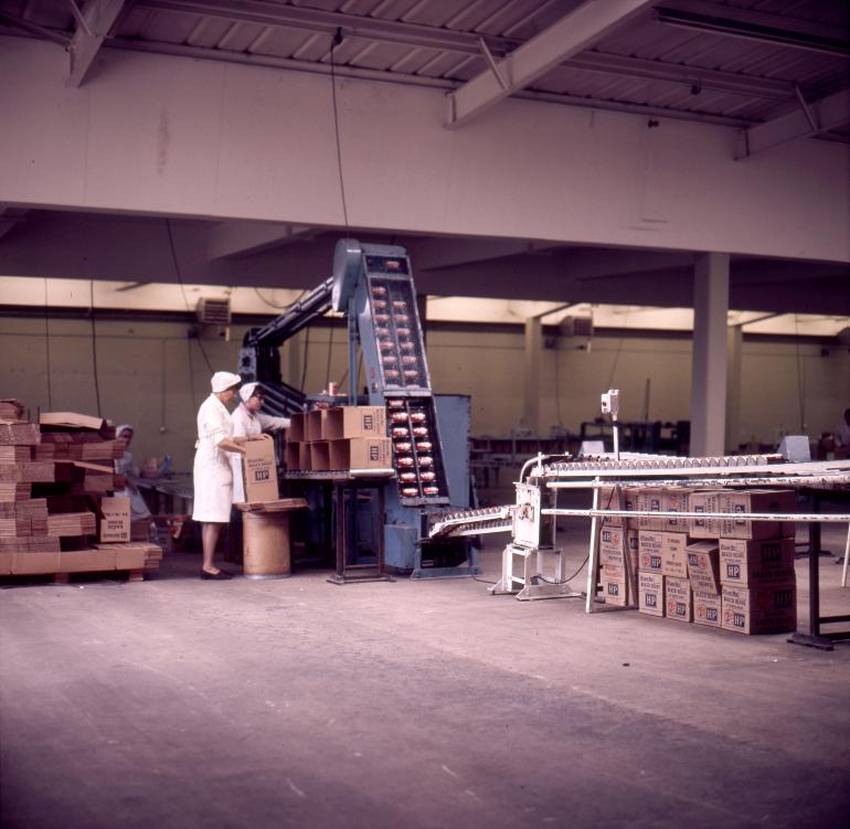 Photograph. HP Smedleys Factory Floor, Norwich Road (North Walsham Archive).