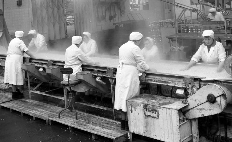 HP Smedleys Factory Floor, Norwich Road (North Walsham Archive) Photograph. HP Smedleys Factory Floor, Norwich Road (North Walsham Archive).