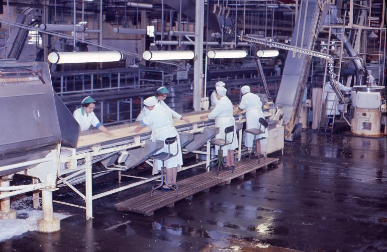 Photograph. HP Smedleys Factory Floor, Norwich Road (North Walsham Archive).