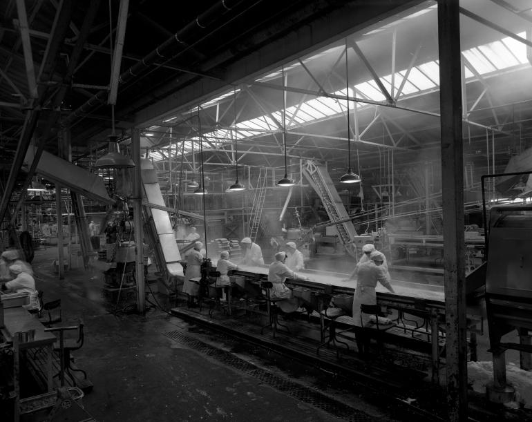 Photograph. HP Smedleys Factory Floor, Norwich Road (North Walsham Archive).