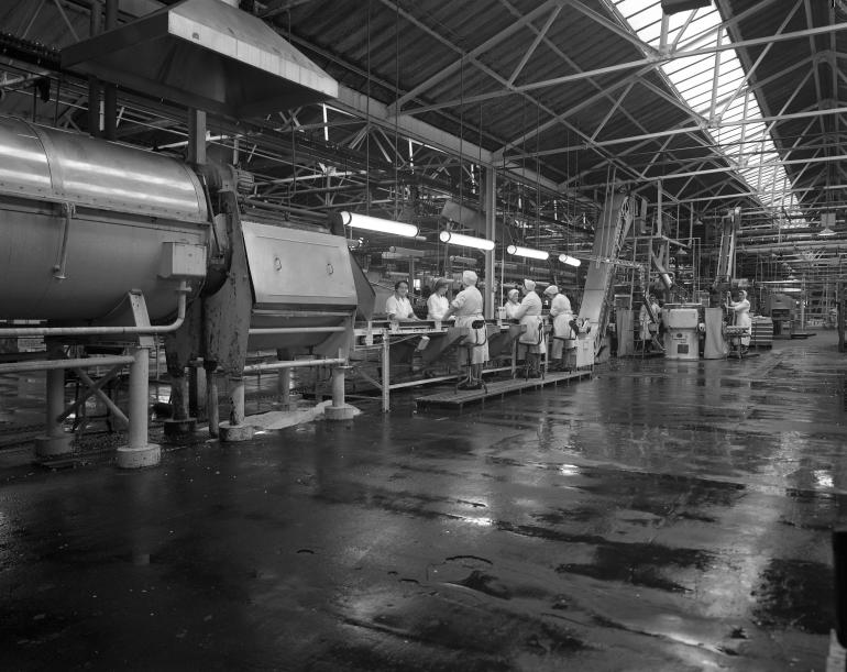 Photograph. HP Smedleys Factory Floor, Norwich Road (North Walsham Archive).