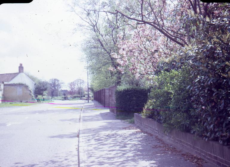 Photograph. Yarmouth Road, North Walsham (North Walsham Archive).