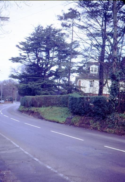 Photograph. Yarmouth Road, North Walsham (North Walsham Archive).