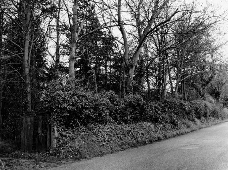 Photograph. Yarmouth Road, North Walsham (North Walsham Archive).