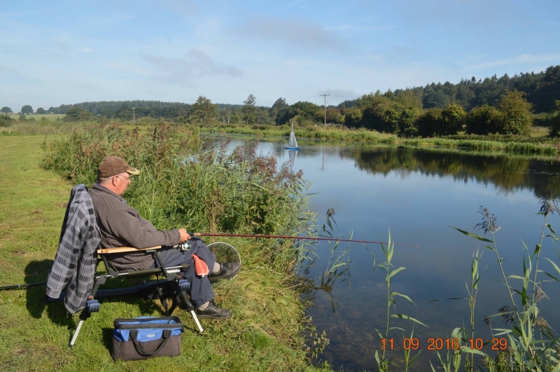 North Walsham to Dilham Canal