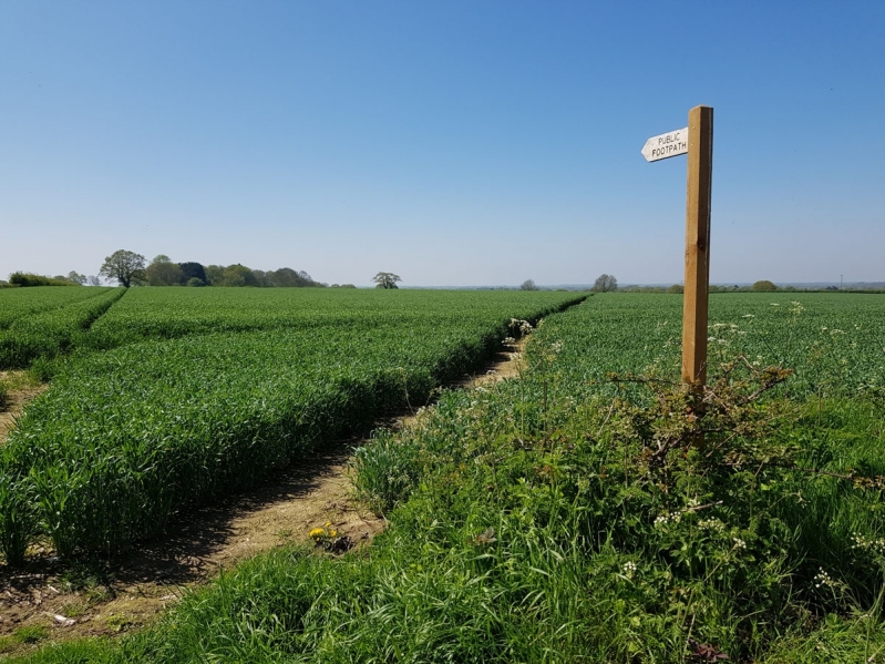 Footpath near North Walsham